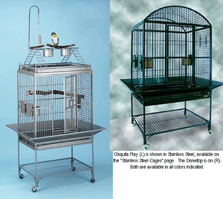 Avian Adventures  Chiquita: Playtop and Dometop
